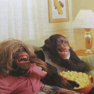 Meet your Posher, Leah